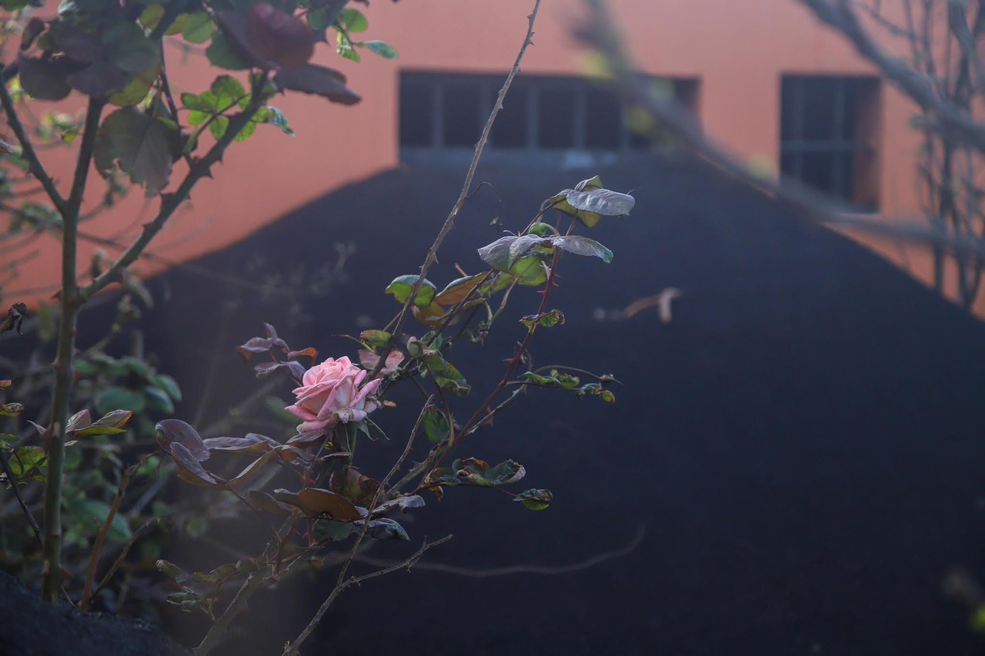 La ceniza del volcán está por todas partes. Foto: EFE