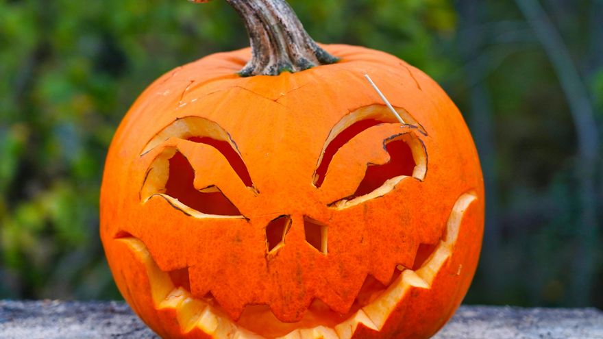 Cómo vaciar y decorar una calabaza de Halloween para aprovechar todo su contenido
