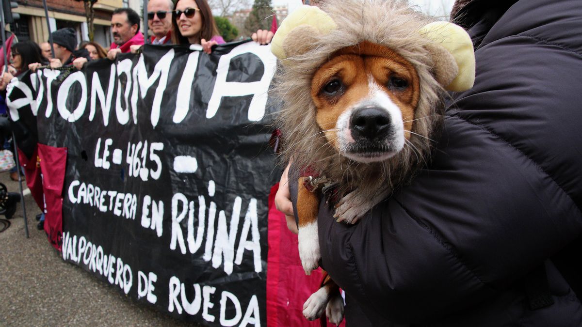 Las imágenes de la gran protesta por el futuro de León el 16F de 2025.