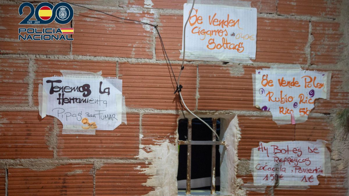 La Policía Nacional desmantela en El Palmar, Murcia, un narcopiso donde se organizaban peleas ilegales de gallos