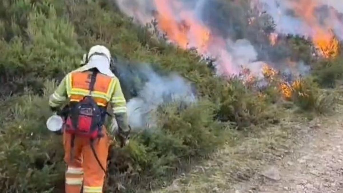 Asturias activa el Plan de Protección Civil tras declararse 33 incendios forestales