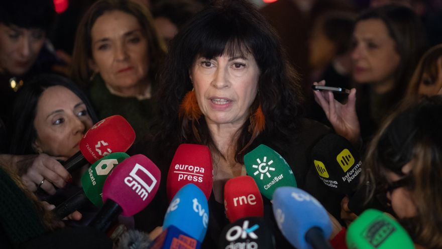 La ministra de Igualdad, Ana Redondo, atiende a los medios de comunicación antes de una concentración por el día de la Eliminación de la violencia contra las Mujeres, a 25 de noviembre de 2025, en Madrid.