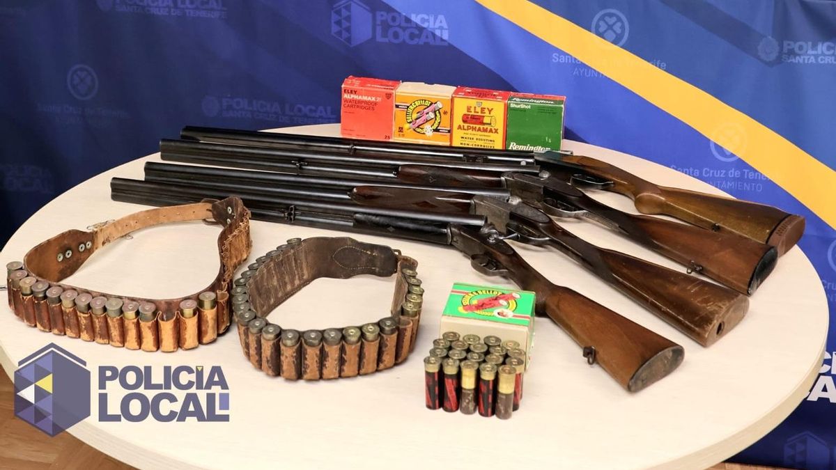 La Policía Local interviene cuatro escopetas y 523 cartuchos en una vivienda de El Toscal