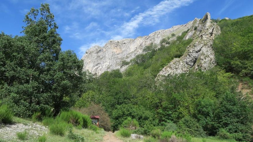 El bosque de España con hayas de más de 500 años que puedes conocer haciendo diferentes rutas de senderismo