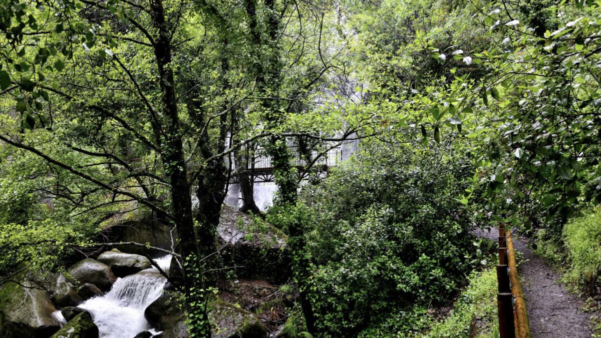 La diversidad biológica a lo largo del sendero es excepcional, creando un paisaje botánico de bosque salvaje y huertos cultivados