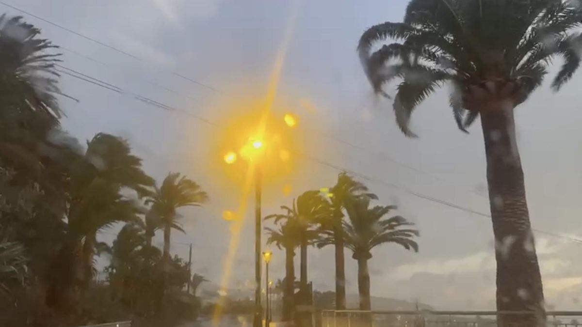Lluvia y viento en el municipio de  Villa de Mazo a primeras horas de este miércoles.