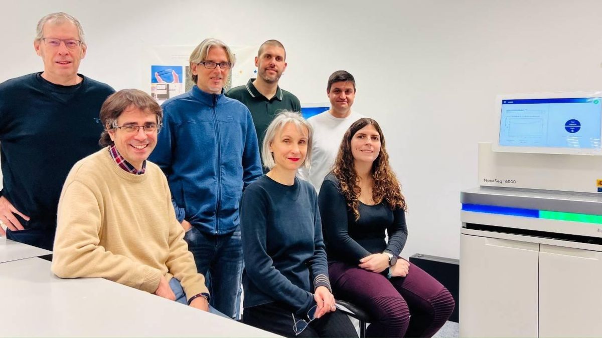 Autores del estudio del Centro Nacional de Análisis Genómico. De izquierda a derecha (de arriba a abajo): Ivo Gut, Tyler Alioto, Marc Dabad, Eloi Casals, Fernando Cruz, Marta Gut, Jèssica Gómez-Garrido.