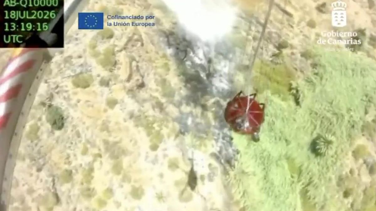 Estabilizado el incendio en Masca y detenido su presunto autor, a quien investigan por otros tres recientes conatos
