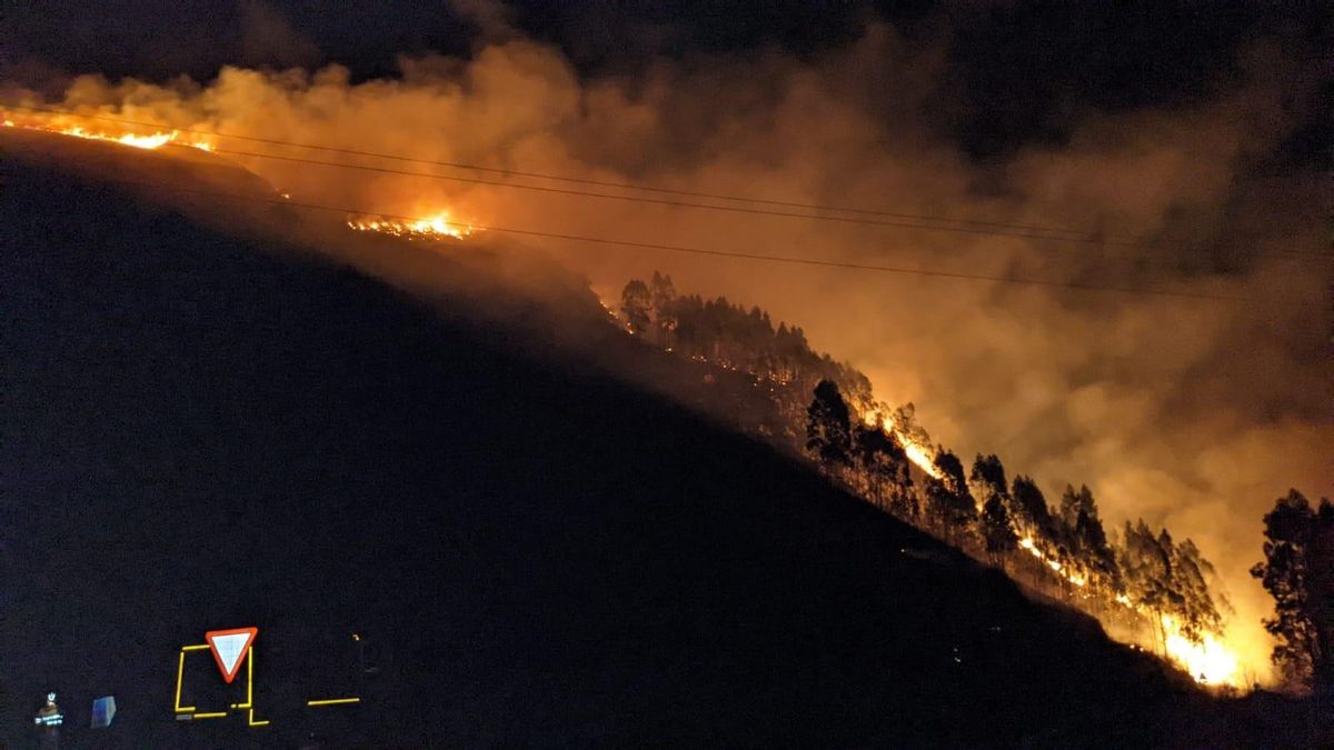 Incendio forestal en Cantabria