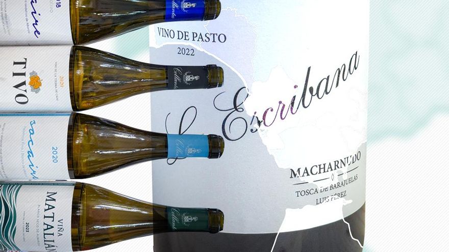 Vinos de pasto: los tragos tranquilos y con menos graduación que revolucionan el mundo del Jerez