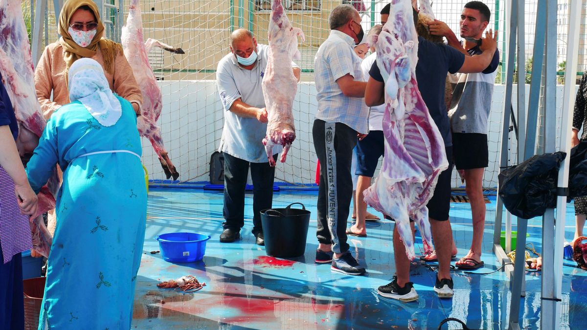 La comunidad musulmana celebrando en Melilla la Fiesta del Cordero, cuyo sacrificio tiene lugar en el mes doce del calendario islámico. EFE/Paqui Sánchez