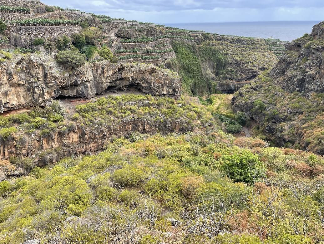 Cueva del Polvo (Barranco de San Juan) y laderas abancaladas y sembradas de plataneras (Barranco de Alén) (Foto: Jorge Pais Pais).