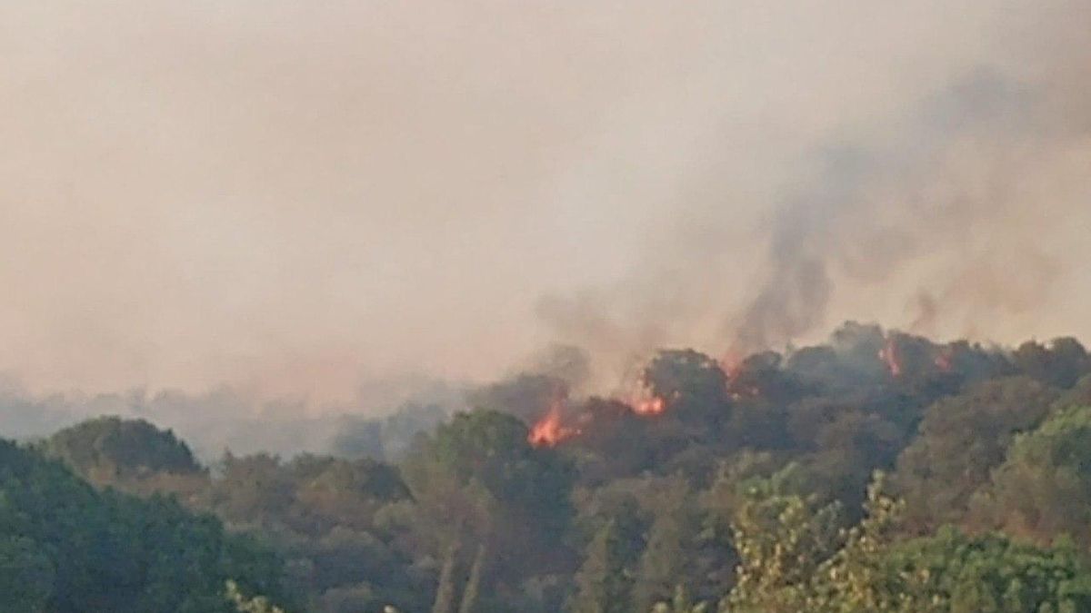 Declarado un incendio forestal en la sierra de Córdoba