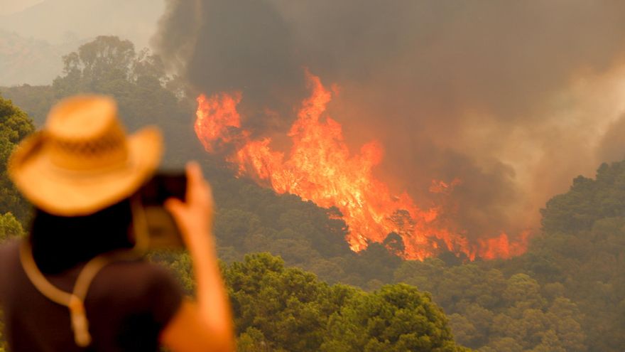 Casi un millar de personas desalojadas en Málaga por un incendio forestal en Sierra Bermeja