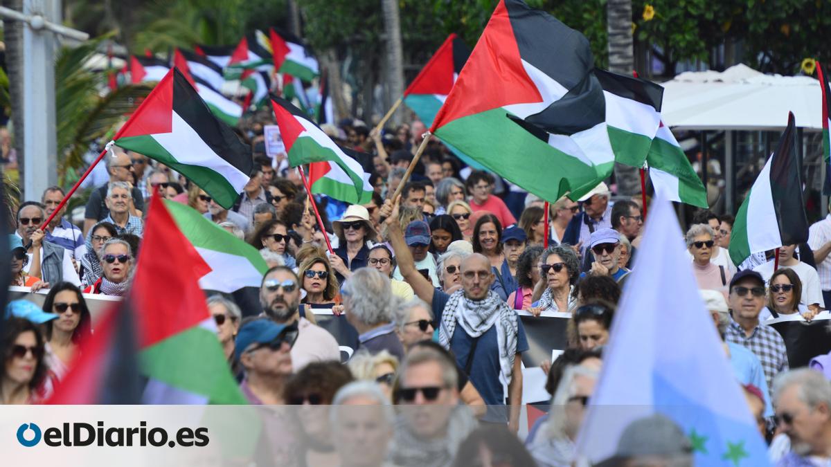 Miles de personas se manifiestan en Canarias contra el "genocidio" de ...