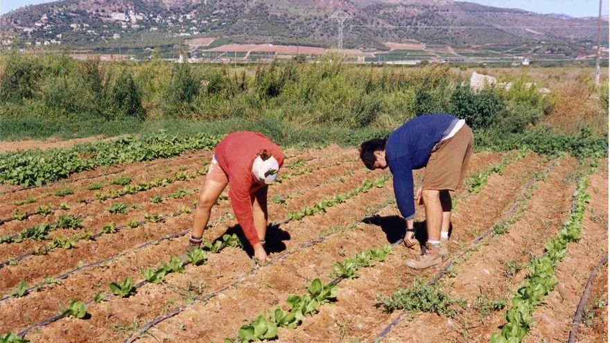 El campo extremeño, abocado a una huelga de tres días la semana que viene