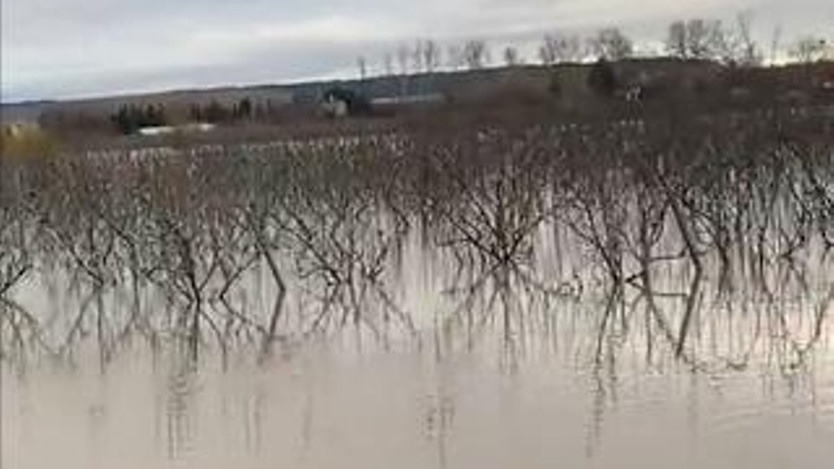Crecida del Ebro en Alfaro, imagen de archivo