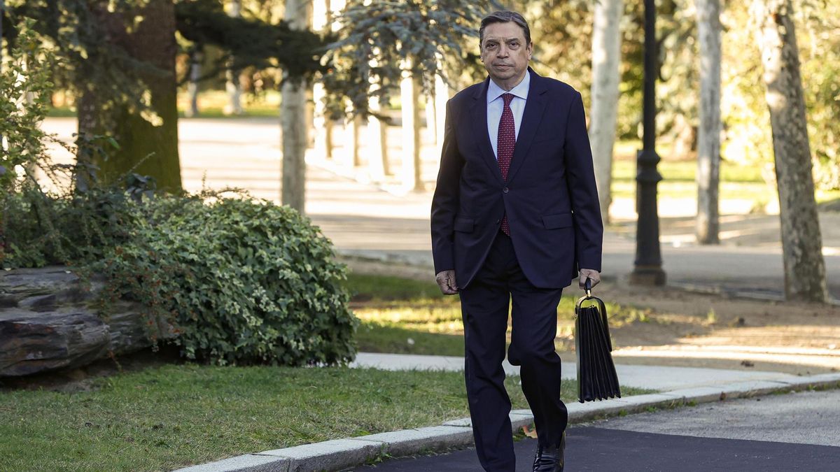 El ministro de Agricultura, Pesca y Alimentación, Luis Planas
