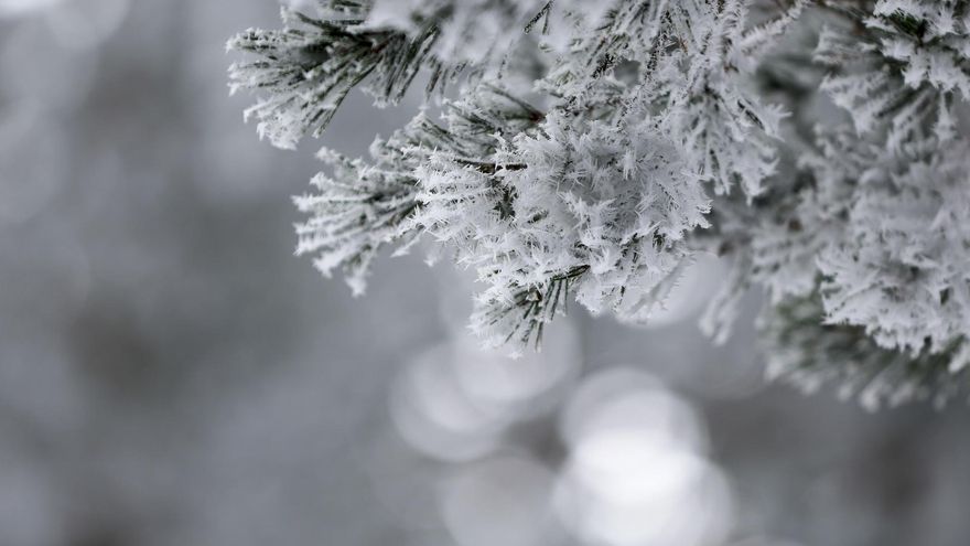 La borrasca Nelson deja una veintena de carreteras afectadas por nieve en plena operación salida de Semana Santa