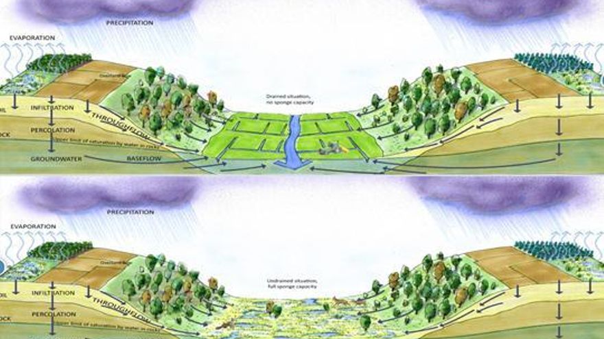 ¿Cómo se puede reducir el riesgo de inundación a través de medidas basadas en la naturaleza?
