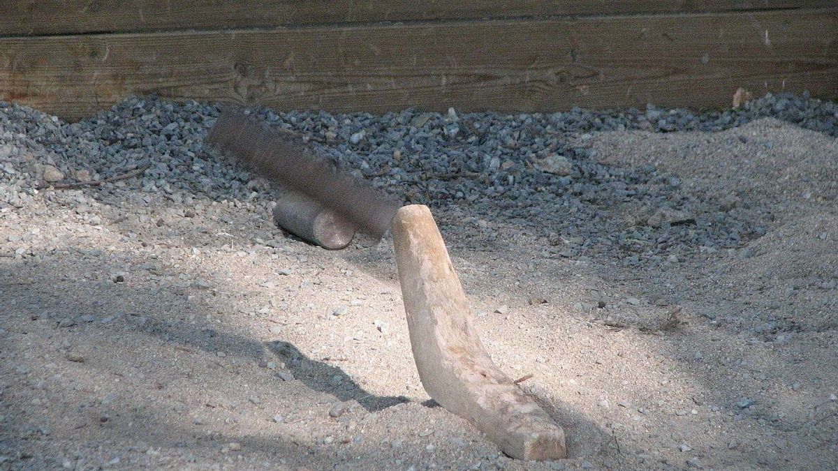 Juegos como la calva, el caliche o la barra castellana estarán en la nueva Ley del Deporte de Castilla-La Mancha