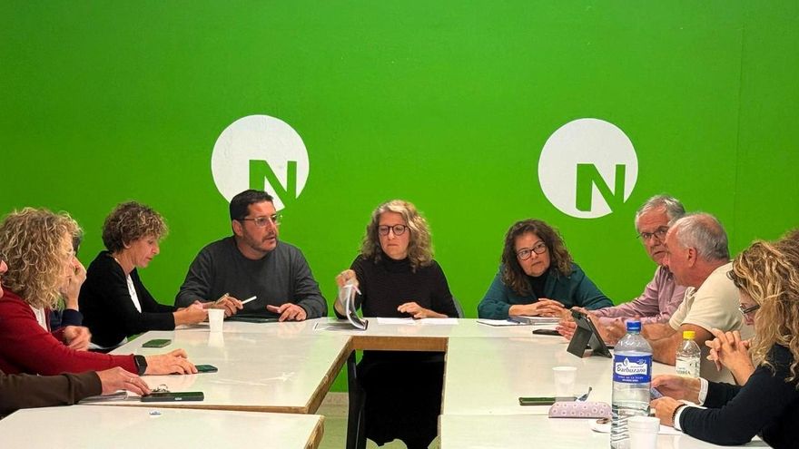 Nueva Canarias denuncia "maltrato institucional" a sus tres concejales en Santa Lucía tras ser destituidos