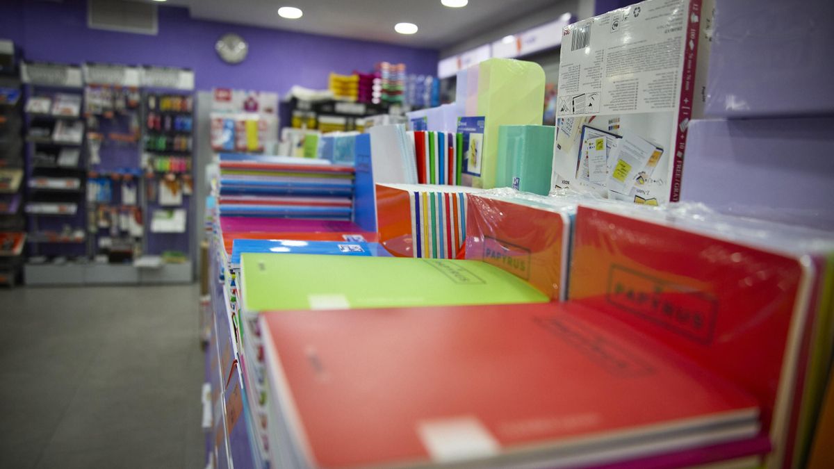 Cuadernos y demás material escolar.