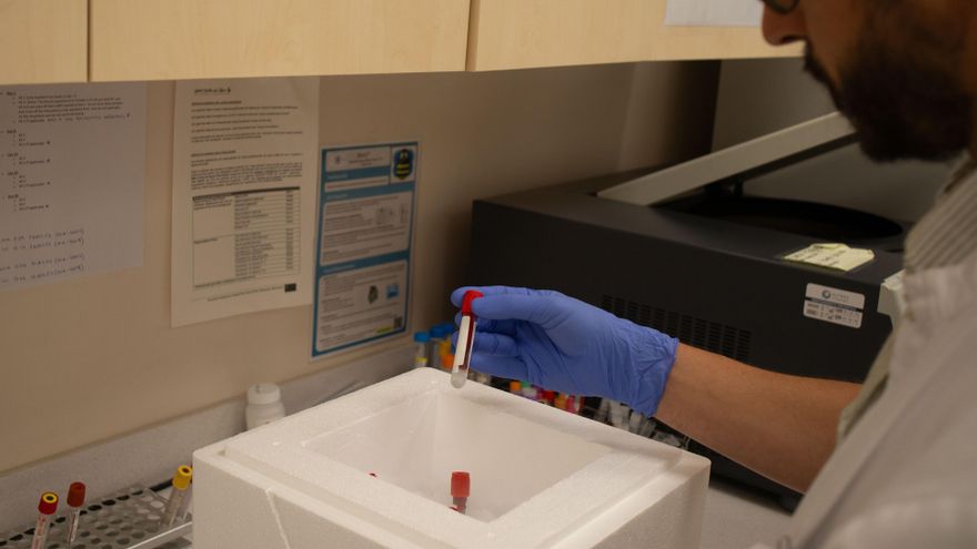 Los hospitales Virgen del Rocío de Sevilla y Sant Joan de Déu Barcelona han colaborado en una investigación que ha permitido describir una nueva y rara enfermedad relacionada con una mutación del gen DOCK11.