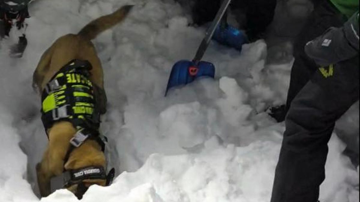 Localizan sin vida al montañero atrapado por un alud cuando iba de excursión con raquetas por el valle de Bielsa (Huesca)