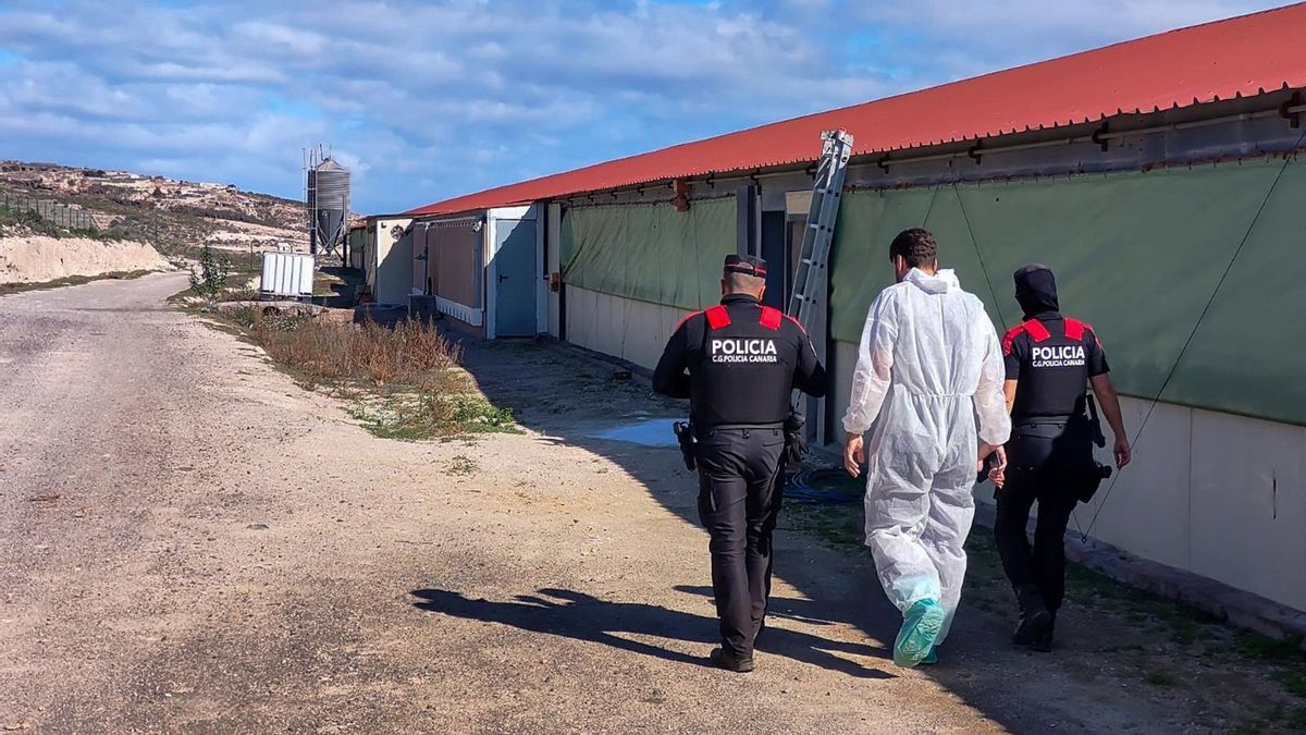 La policía descubre un vertedero ilegal con 8.000 metros cúbicos de residuos en Tenerife