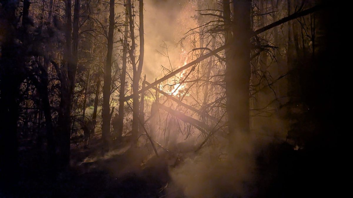 Estabilizado el primer incendio de nivel 1 en El Bierzo tras una noche de intensos trabajos