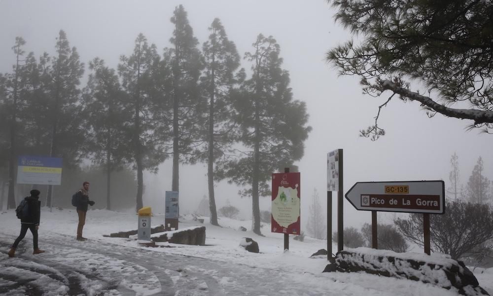 Cumbre grancanaria (31/01/2018)