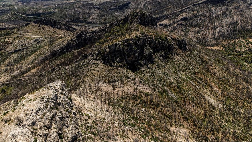 Las cicatrices del incendio del parque natural de Els Ports, un año después a vista de dron