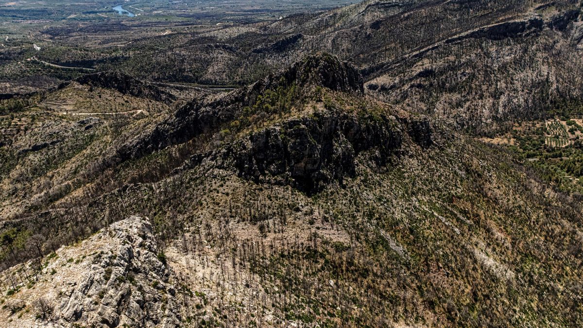 Las cicatrices del incendio del parque natural de Els Ports, un año después a vista de dron