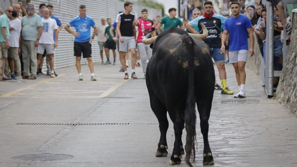 El primero de los toros que se soltó este domingo en Ubrique.