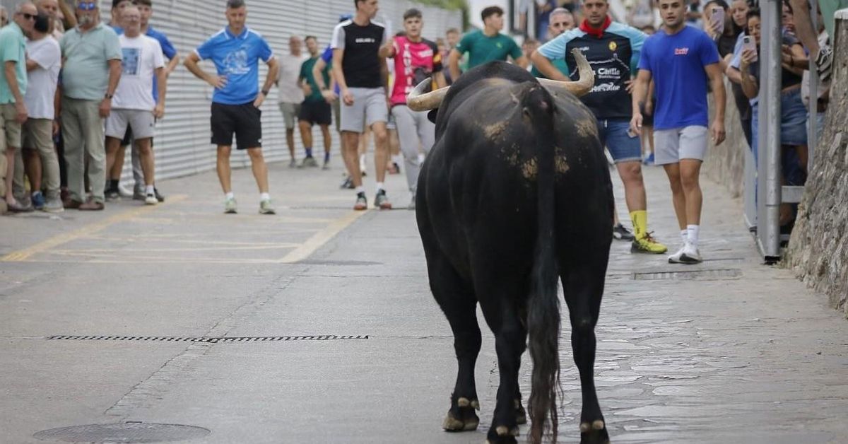 Muere un hombre por la cornada de un toro en las fiestas de Ubrique