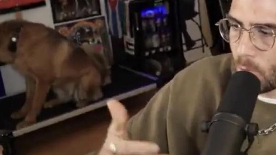 La perra de un streamer siempre estaba en directo y un vídeo ha hecho sospechar que la mantenía quieta con descargas eléctricas; ¿qué descubrieron los usuarios al revisar las imágenes?