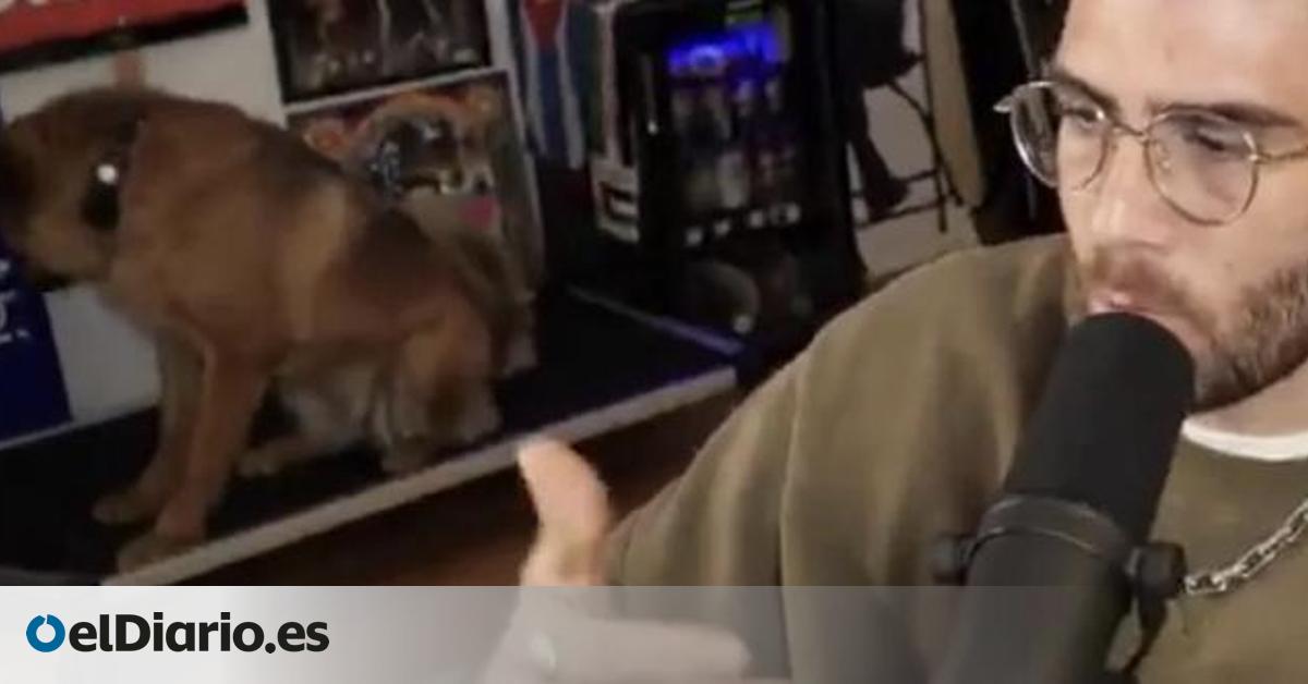 La perra de un streamer siempre estaba en directo y un vídeo ha hecho sospechar que la mantenía quieta con descargas eléctricas; ¿qué descubrieron los usuarios al revisar las imágenes?