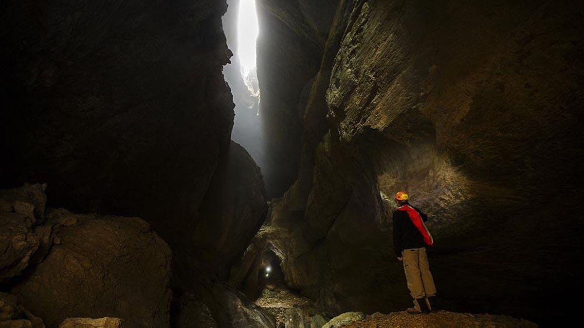 Cueva Palomera, Ojo Guareña