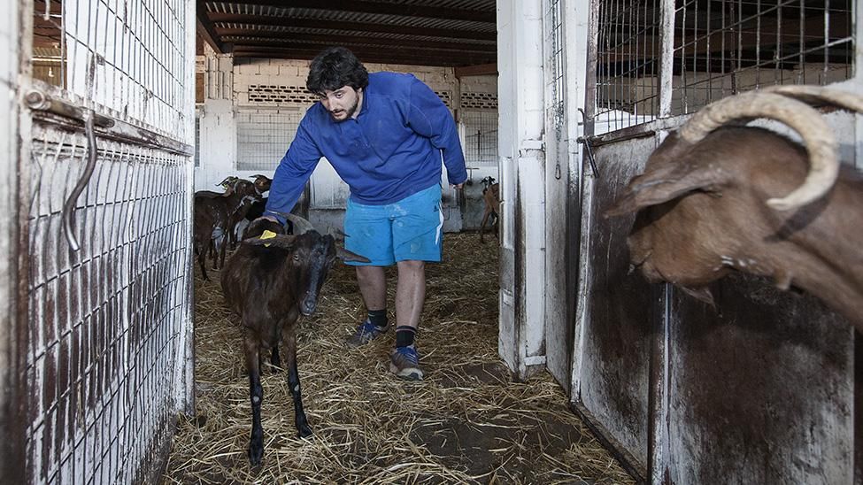'Wwoofers', voluntarios rurales de agricultura ecológica.