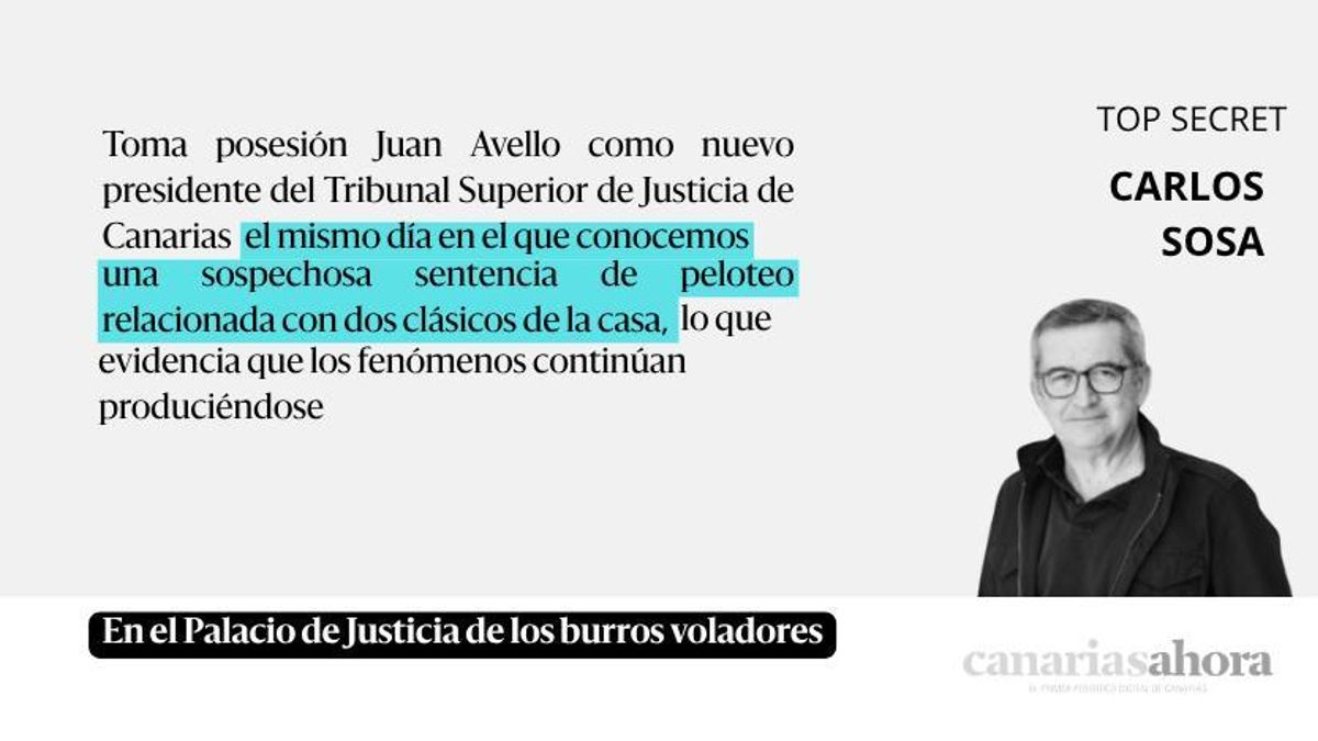 En el Palacio de Justicia de los burros voladores