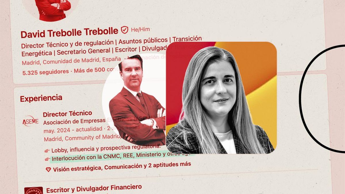 La CNMC asciende a un puesto clave en Energía a la esposa de un directivo de una patronal eléctrica dedicado al lobby