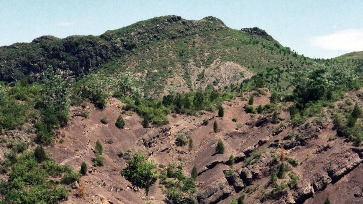 China convirtió el desierto de Gobi en un proyecto forestal masivo y la falta de agua ha puesto en jaque su propio plan