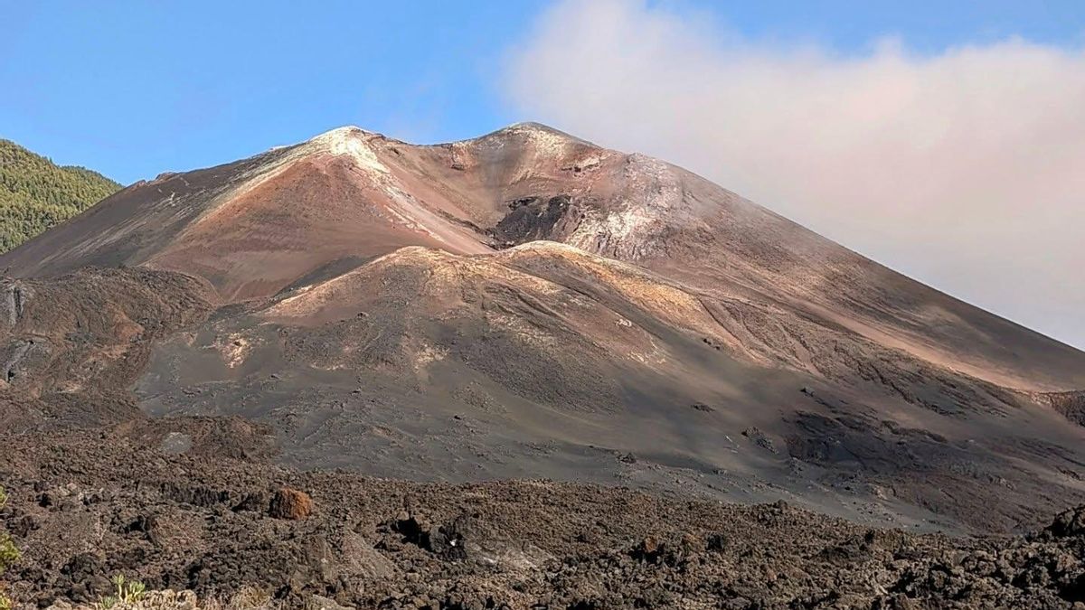 Una isla, un centro… y un vacío por llenar