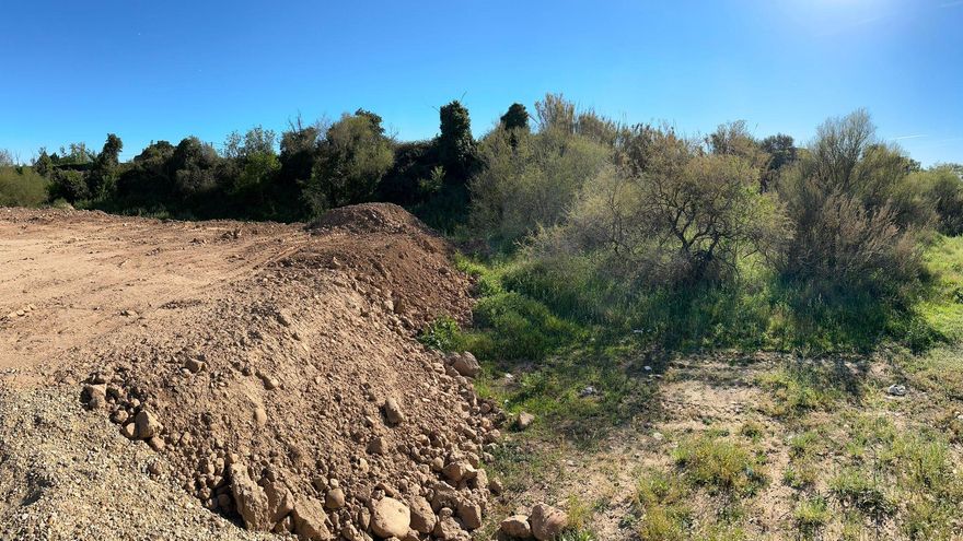 Primeras sanciones por la parcela arrasada en Calahorra: el Ayuntamiento obliga a la CHE y a tres particulares a reforestarla porque dice desconocer al responsable