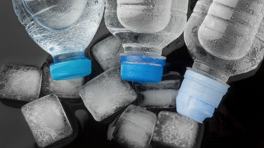 El truco de la botella de agua congelada para refrescar tu cama y a tus animales si no tienes aire acondicionado: ¿es realmente efectivo?