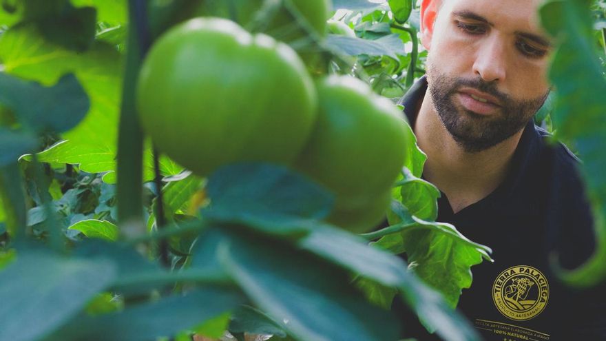 El secreto está en el tomate: Los Palacios y Mairena llevan su gazpacho "por todo el mundo"
