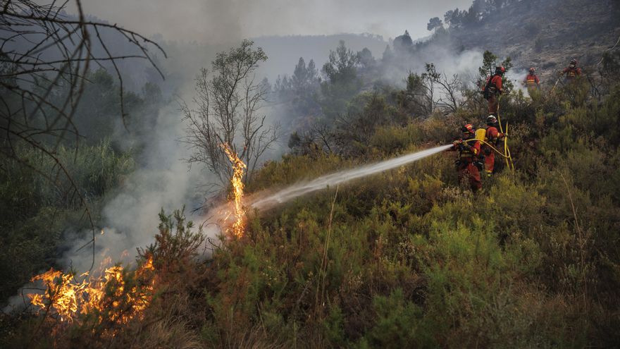 El incendio de Bejís, que sigue sin control, ya ha arrasado 19.000 hectáreas de masa forestal