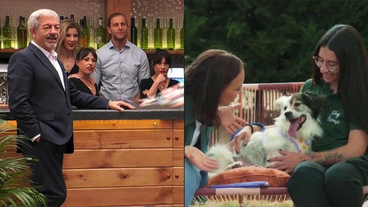 'First Dates' en Telecinco y 'Dog House' en La 1