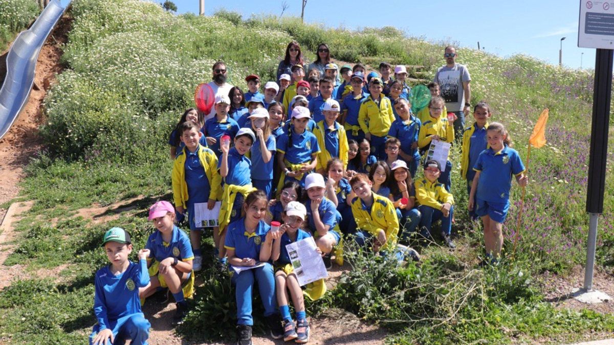 Medio centenar de escolares reconocen el valor de los insectos para la naturaleza de la mano de la UCO